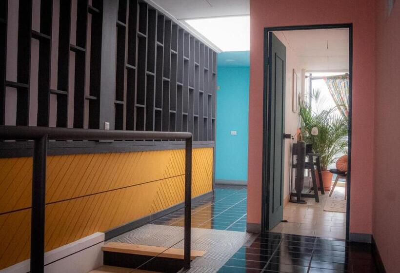 ペンション Lolas Hostal, Habitacion Exclusiva Para Mujeres, 2 Camarotes, Precio Por Cama