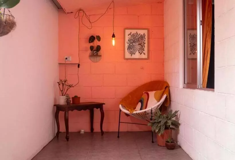 ペンション Lolas Hostal, Habitacion Exclusiva Para Mujeres, 2 Camarotes, Precio Por Cama