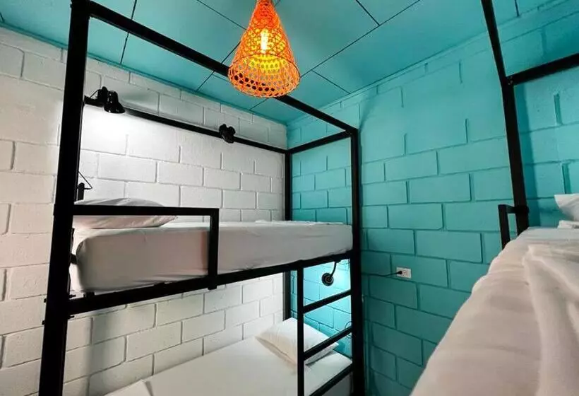 ペンション Lolas Hostal, Habitacion Exclusiva Para Mujeres, 2 Camarotes, Precio Por Cama