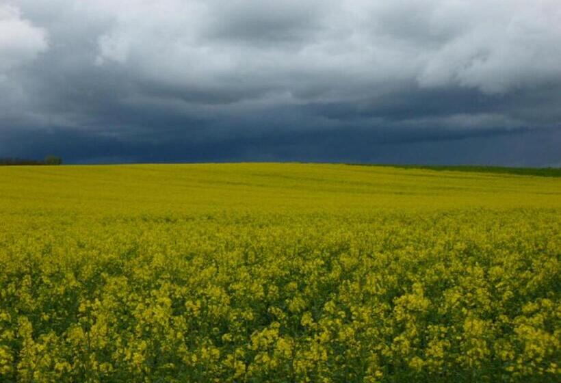 膳宿费 Landcafe Sima & Zimmervermietung