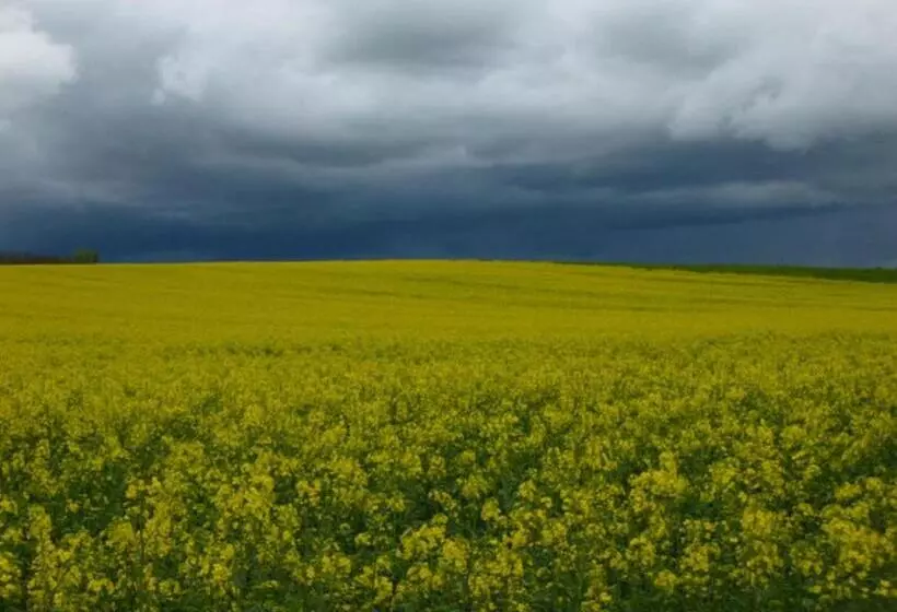 Majatalo Landcafe Sima & Zimmervermietung