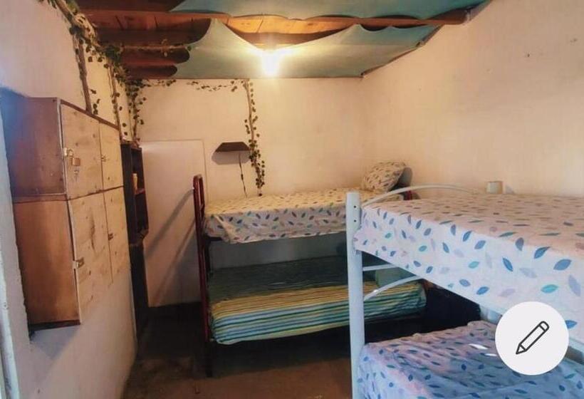 호스텔 Hostal La Buena Vida Mazunte