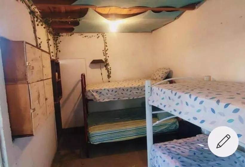 ユースホステル Hostal La Buena Vida Mazunte