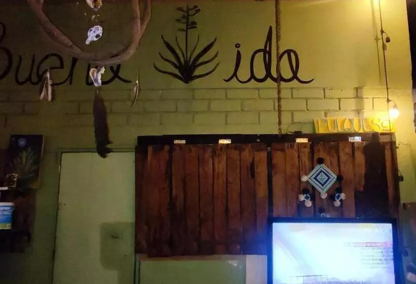 ユースホステル Hostal La Buena Vida Mazunte