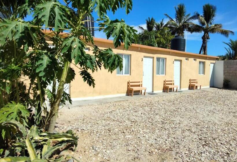 호스텔 Posada San Carlos