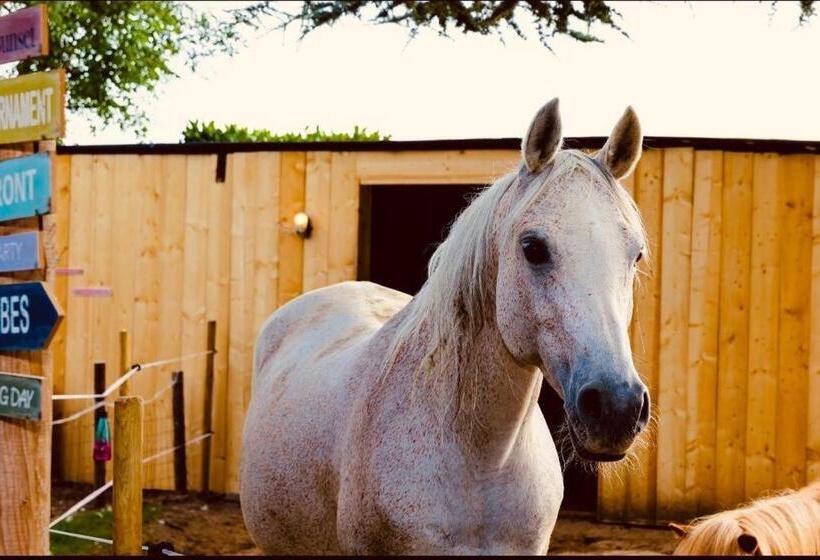 Bed And Breakfast Aan De Grens