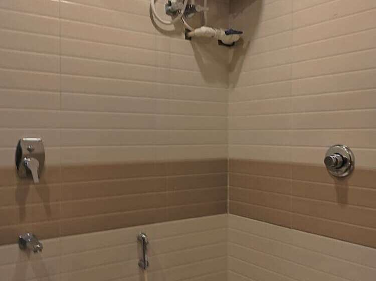 בית מלון כפרי Binapani Deluxe 1