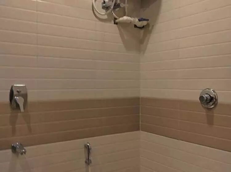 ホテル Binapani Deluxe 1