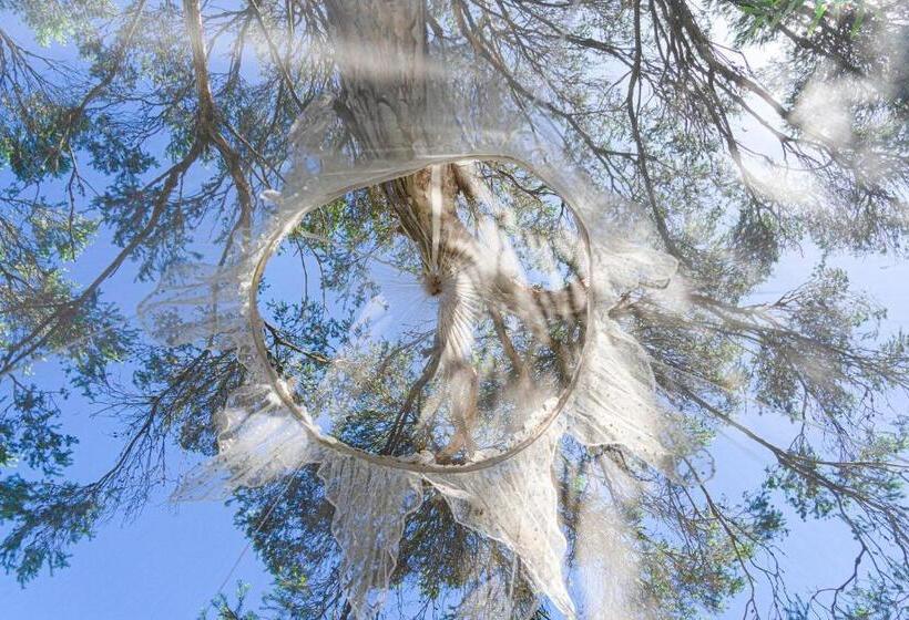 فندق Boho Coastal Vibes