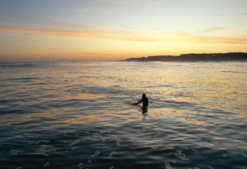 Kapselhotel Jardin De Epicuro