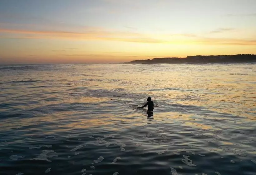 Kapselihotelli Jardin De Epicuro