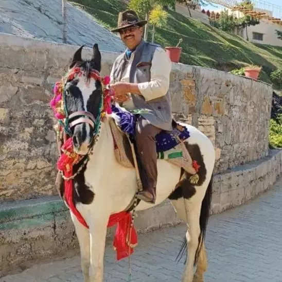 ホテル Fort Beejwar Chauhan By Aayams Neemrana