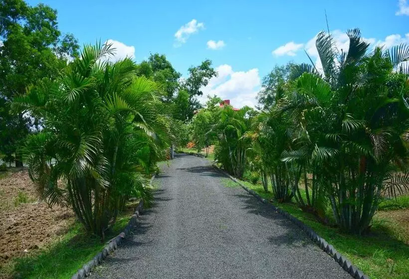 ホテル Kopai Farm Villa