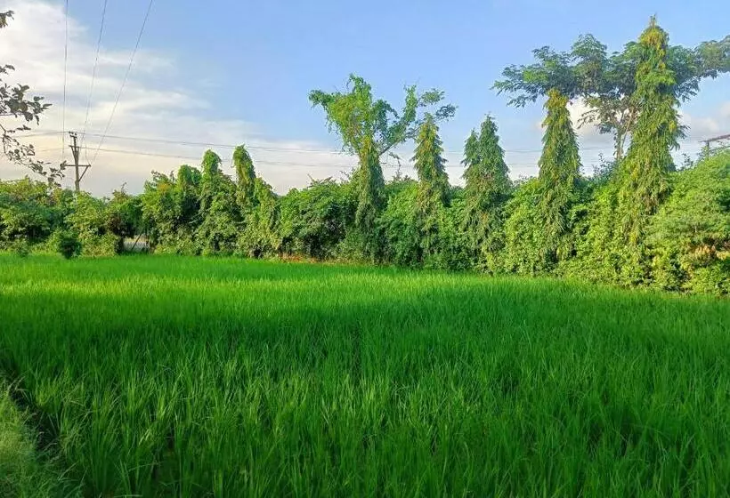 ホテル Kopai Farm Villa