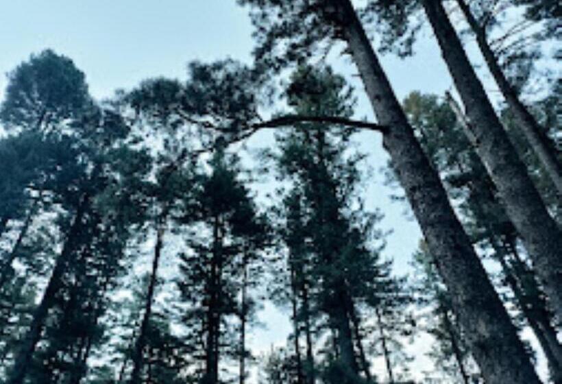 هتل Sarwa Cottage Jammu And Kashmir