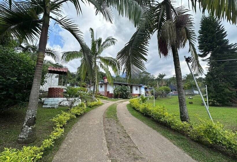 Отель Sary House By Anne Spa