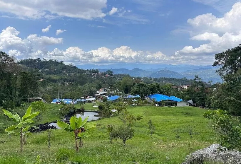 Hotelli Sary House By Anne Spa