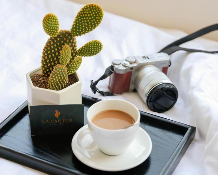 La Cactus Hotel 1