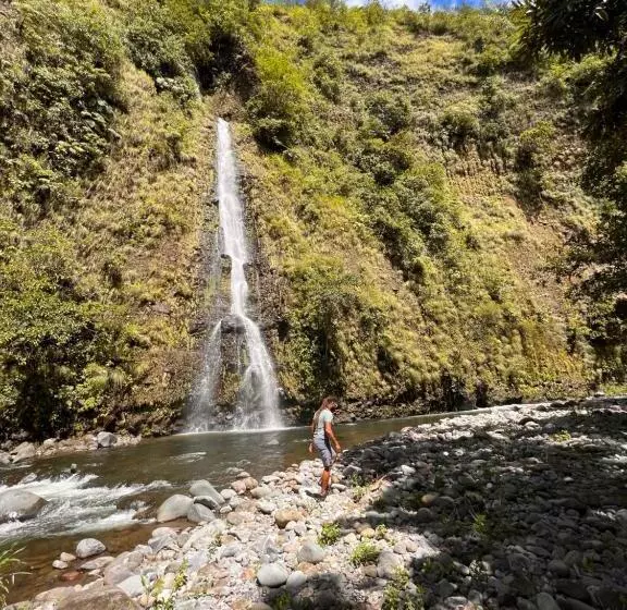 ペンション Boho By Arte Hostal Boquete