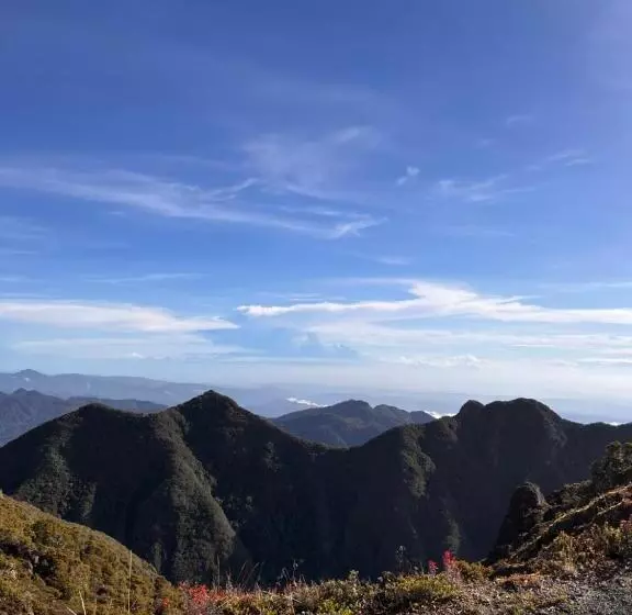 ペンション Boho By Arte Hostal Boquete