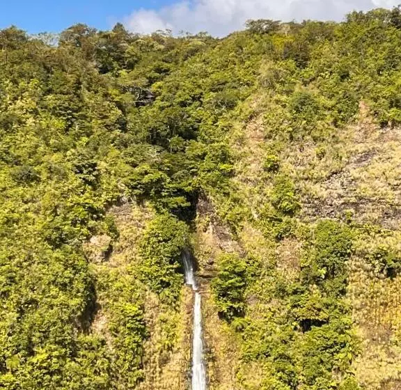 ペンション Boho By Arte Hostal Boquete