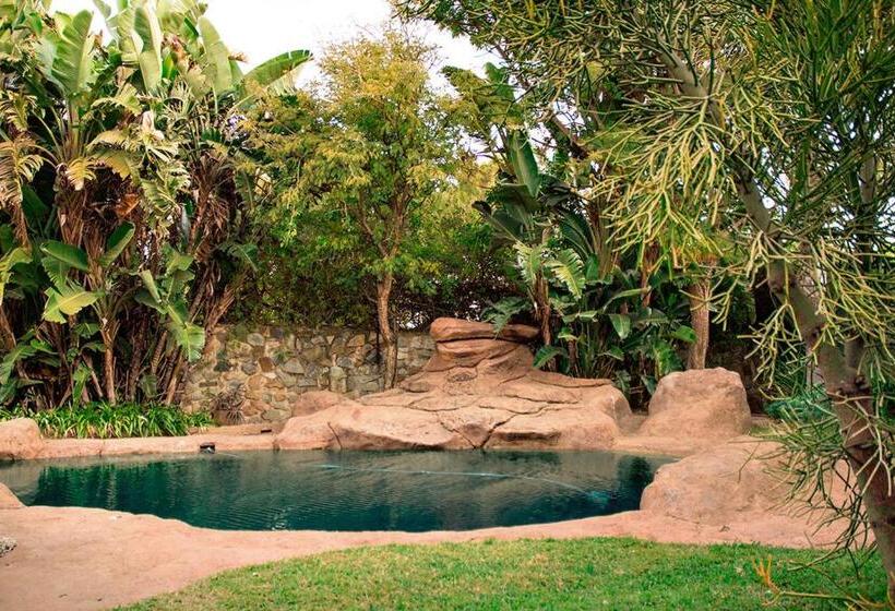 پانسیون Edison Luxe Guest House , Sunninghill