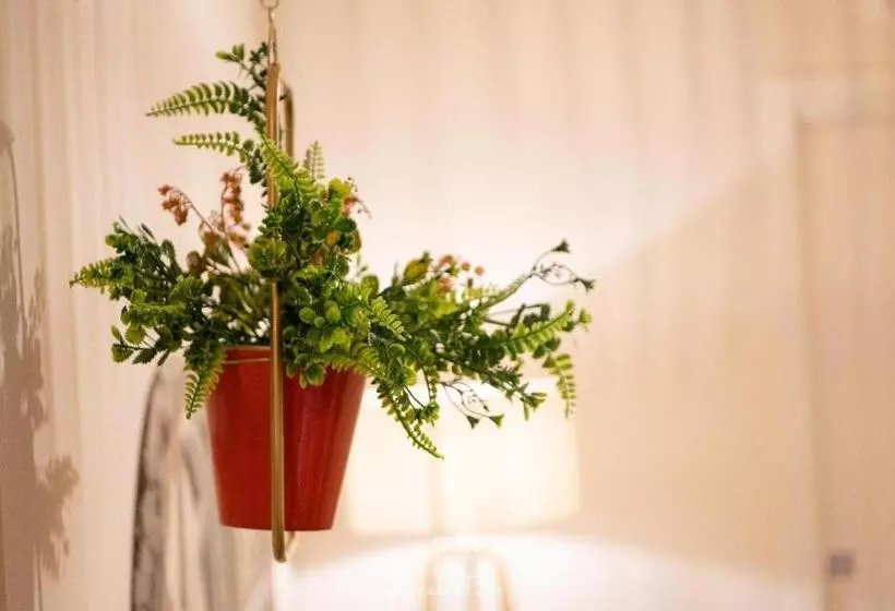 Majatalo La Casa Di Zoe