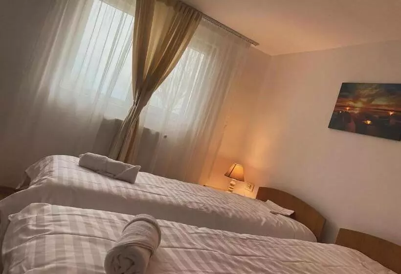 ペンション Vis De Vara