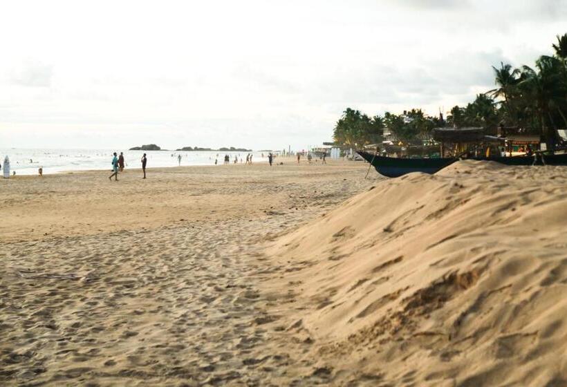 بنسيون Wave Crest Residence