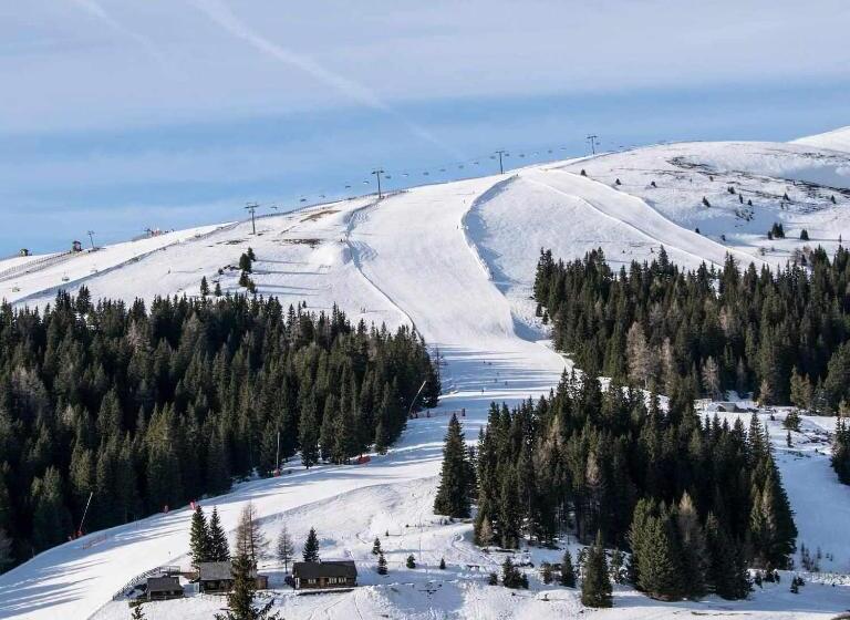 Pension Bischof Lachtal