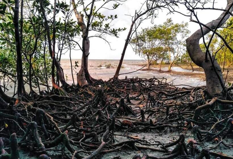 리조트 Ritabani Earthen Retreat Sundarbans