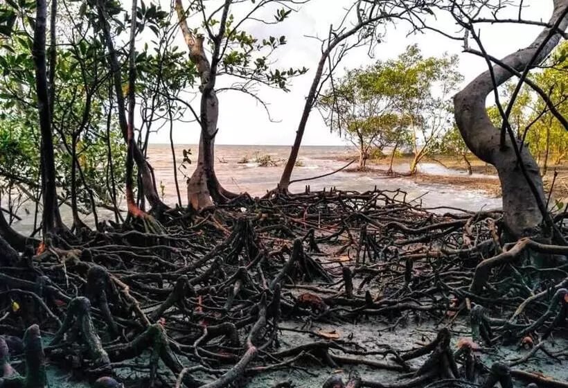 リゾートホテル Ritabani Earthen Retreat Sundarbans