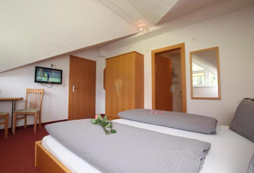 ホテル Apart Haus & Pizzeria Rustica