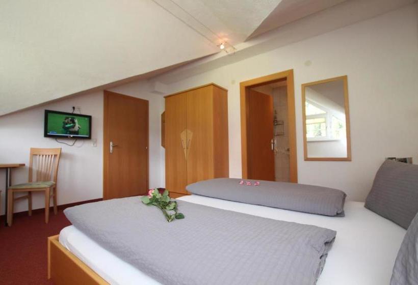 ホテル Apart Haus & Pizzeria Rustica