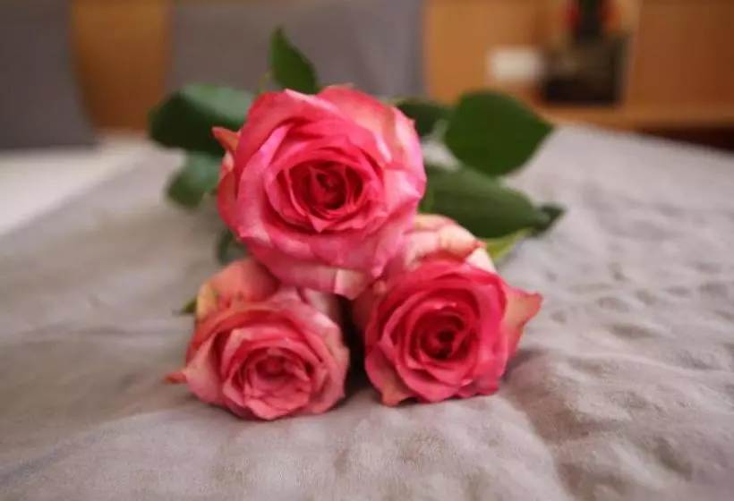 هتل Apart Haus & Pizzeria Rustica