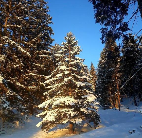 בית מלון כפרי Apart Pedrolini