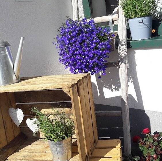 فندق Casada Inklusive Sommer Card