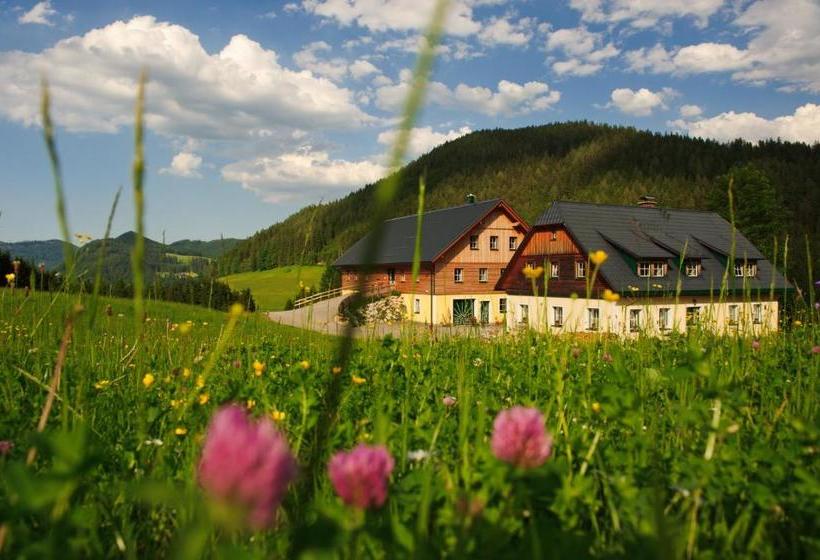Отель Ferienstadl Hammerau