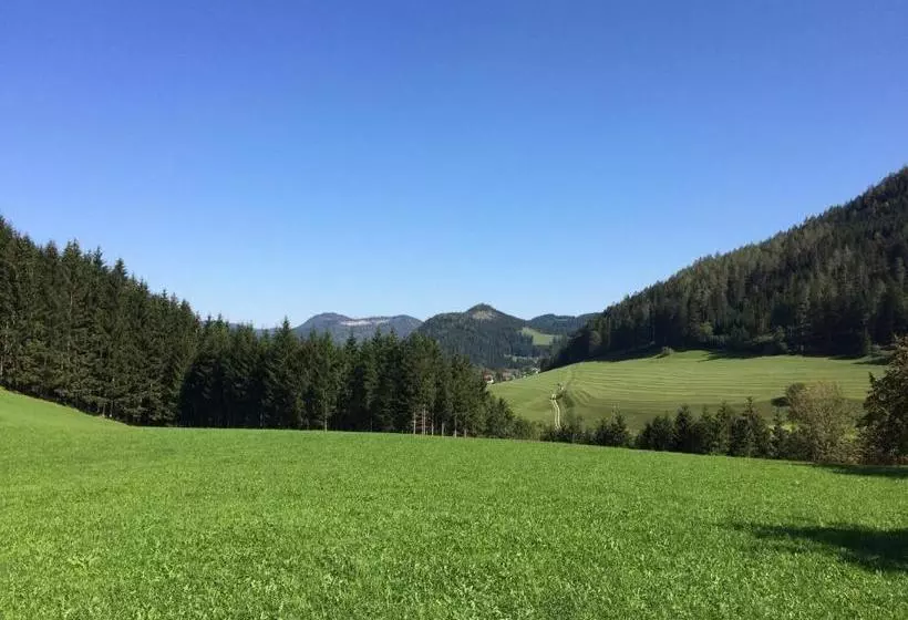 ホテル Ferienstadl Hammerau