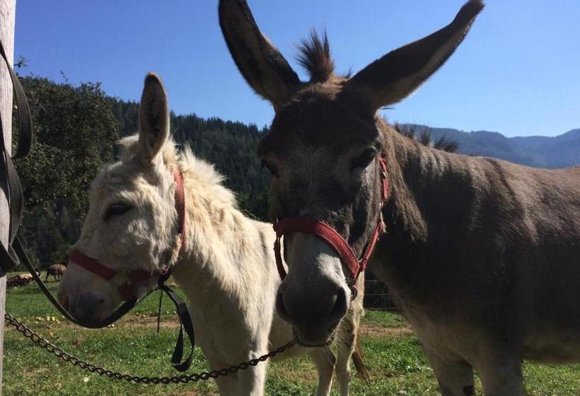 Отель Ferienstadl Hammerau