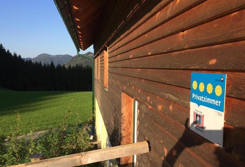 Отель Ferienstadl Hammerau