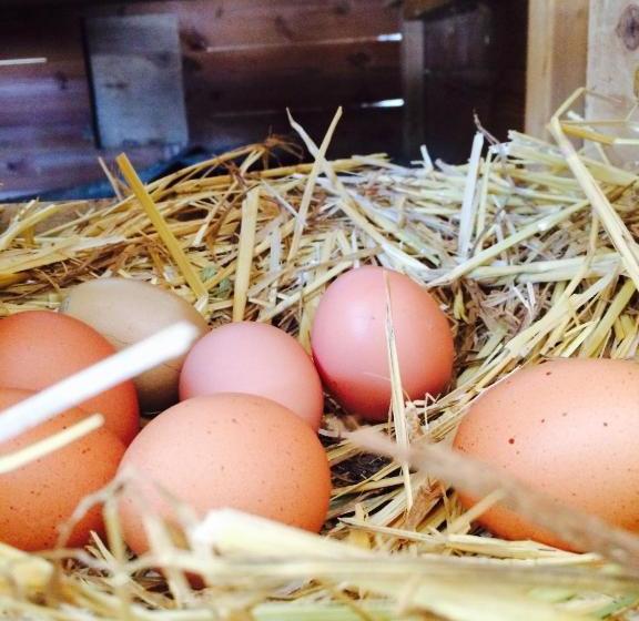 Отель Ferienstadl Hammerau