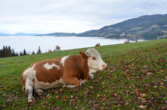 酒店 Gasthof Gutmann