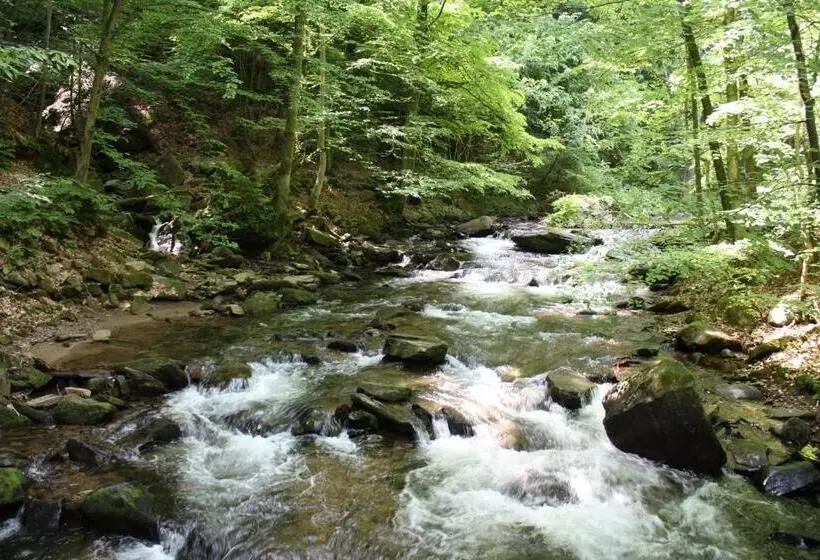 ホテル Gasthof Leibenfelderstub'n