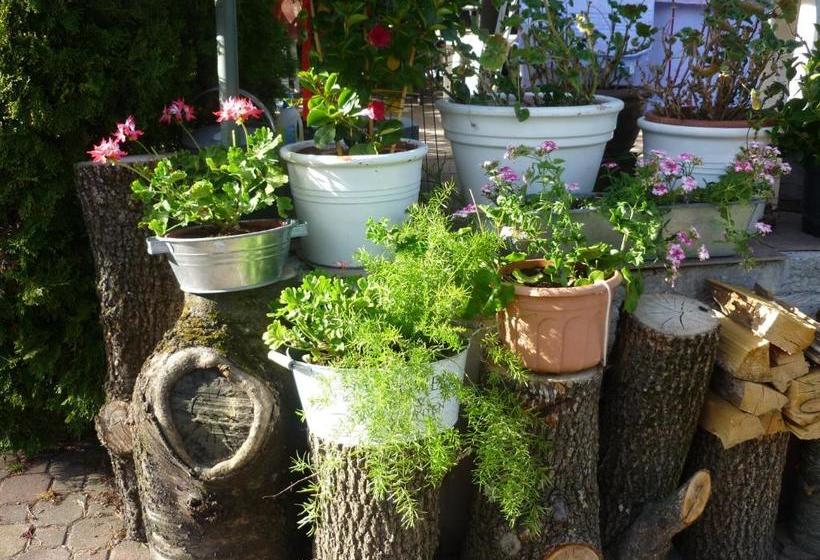 호텔 Haus Michaeler