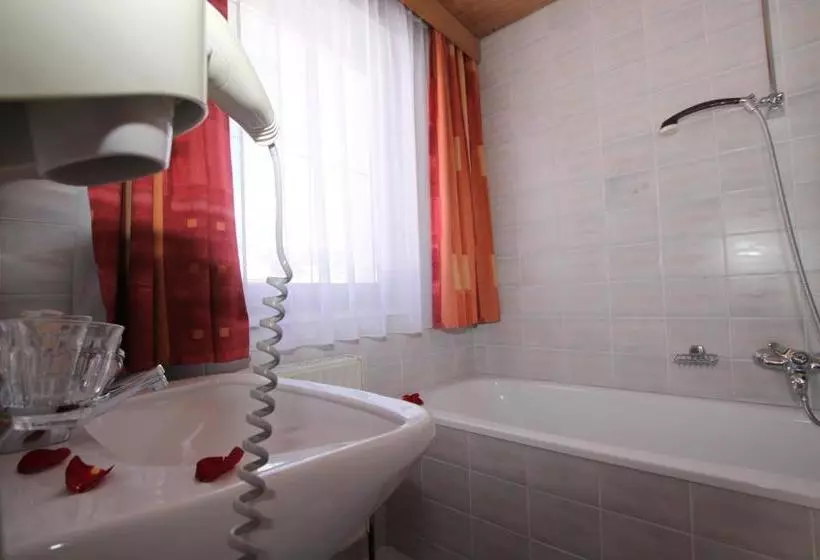 ホテル Haus Salzgeber