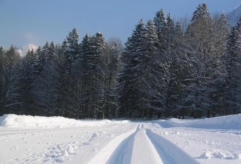 酒店 Haus Theresia