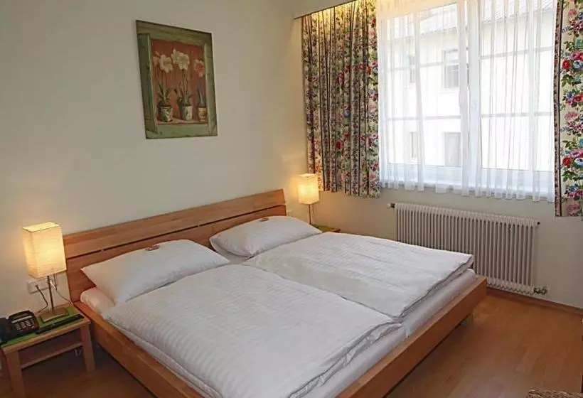 Hotelli Pension Alte Mühle