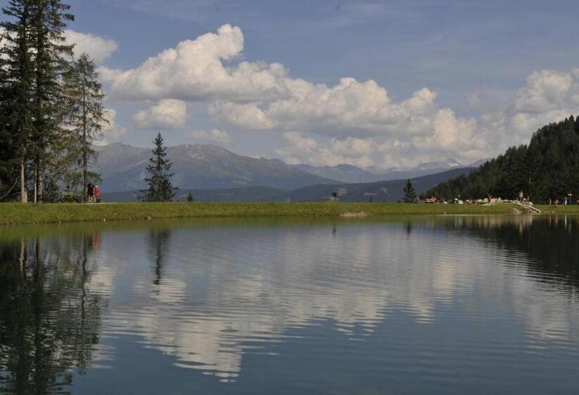 فندق Pension Tina