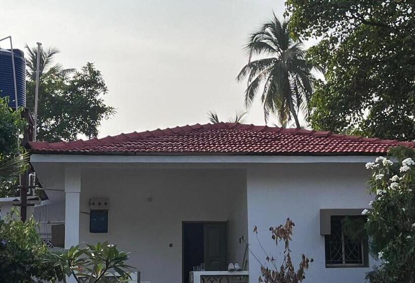 هاستل Seven Tales